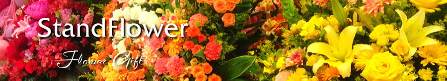 花の定期便の【評判・口コミ】花屋がおすすめする安心サービス